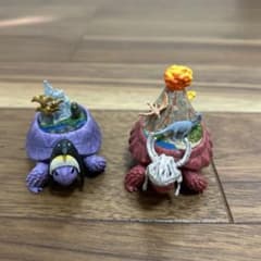 大陸ガメ　2種セットのサムネイル