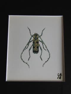 山下清、【カミキリ】、希少な額装用画集より、美品、日本人画家、新品額装付 山下清、【カミキリ】、希少な額装用画集より、美品、日本人画家、新品