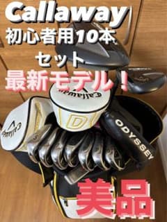 【美品】メンズ ゴルフクラブセット Warbird人気現行モデル 10本 初心者のサムネイル