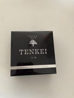 TENKEI SOAP 300g 化粧石鹸のサムネイル