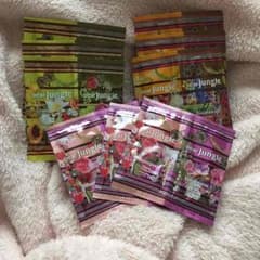 けいこさま♡専用 ディアジャングル♡シャンプー 小袋 9袋のサムネイル