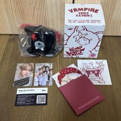 ENHYPEN THE SIN:VANISH ボイスキーリング ヒスン - メルカリ