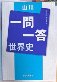 山川 一問一答 世界史 (赤シート付)のサムネイル