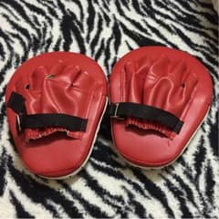 格闘技ミットのサムネイル