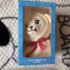 岩田剛典 てるてるぬいぐるみキーホルダー】三代目JSB☆未開封 - メルカリ