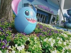 H.S様専用 クリプトコリネルーケンスのサムネイル