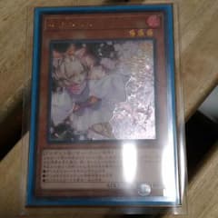遊戯王 灰流うらら レリーフのサムネイル