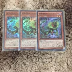 キンジー ３枚のサムネイル