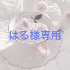 はる様専用のサムネイル