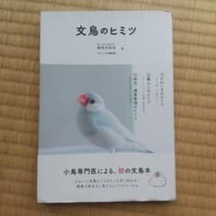 【状態：良い】「文鳥のヒミツ」海老沢和荘のサムネイル