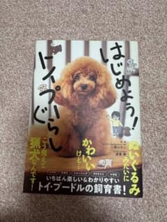 はじめよう！トイプーぐらしのサムネイル