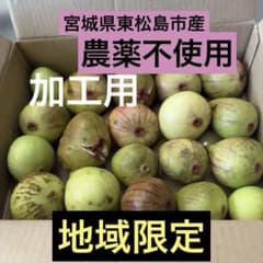 宮城県東松島市産農薬不使用 加工用　いちじく　1900g 風袋込のサムネイル
