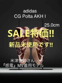adidas 운동화 CG POLTA AKH Ⅰ FV4013