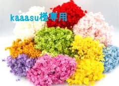 kaaasu様専用ページのサムネイル