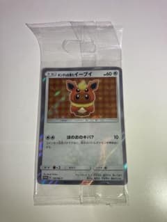 【新品未開封】ポケモンカードゲーム  ポンチョを着たイーブイ　ブースターのサムネイル
