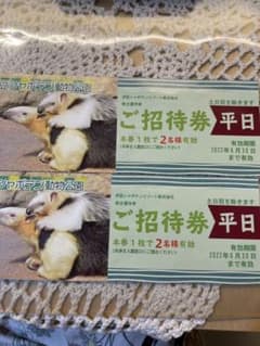 ぷーたん様専用伊豆シャボテン動物公園　ご招待券　4名様のサムネイル