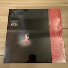 マヒトゥ・ザ・ピーポー GEZAN 沈黙の次に美しい日々 レコード LP