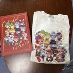 カラフルピーチ Tシャツ ワンダーランド 箱付 - メルカリ