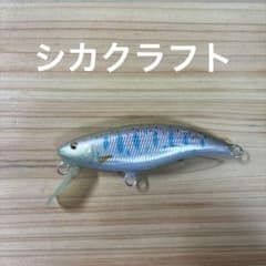 シナイモツゴ50のサムネイル