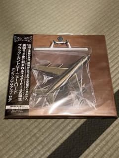 新品2LP 帯付 Black Country New Road Ants - メルカリ