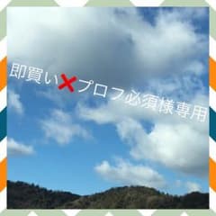 即買い❌プロフ必須様専用のサムネイル