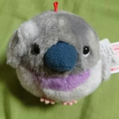 【ことり隊】ハトのサムネイル