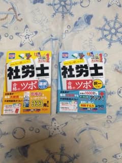 2023年度版 みんなが欲しかった! 社労士合格のツボ 択一対策   選択対策のサムネイル