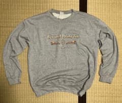 GILDAN Grand Canyon スウェット グレー Lのサムネイル