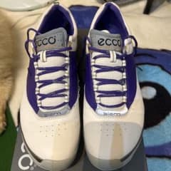 eccoゴルフシューズのサムネイル