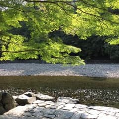 あき様専用のサムネイル