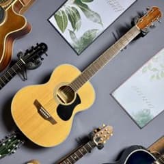 美品】James J-300A NAT弦高調整済 - メルカリ