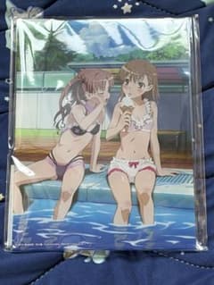 어떤 과학의 초전자포 T 아크릴 패널 미사카 미코토 & 시라이 쿠로코