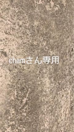 chamさん専用
