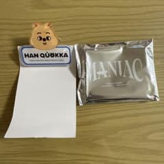 straykids skzoo 스키즈 네임 배치 한지슨 maniac