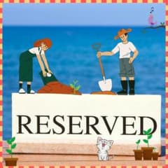 種子】バオバブ アダンソニア グランディディエリ/セット割あり 数量3