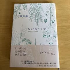 江國香織 ちょうちんそでのサムネイル