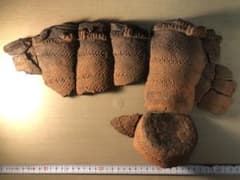 縄文土器の欠片 No.529」です。 - メルカリ