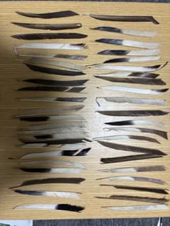矢羽/羽のサムネイル