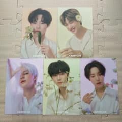 NCT DREAM CANDYLAB フォトカードセットのサムネイル