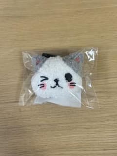 에이냥코 매력 MAZZEL EIKI