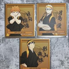 【個々売り可能】ハイキュー ミニ色紙 応援団 日向翔陽 影山飛雄 月島蛍のサムネイル