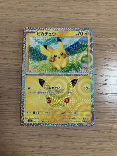 ピカチュウ じゃれつく 30thのサムネイル