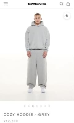 Sweats COZY HOODIE GLAY 完売品 Sのサムネイル