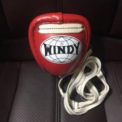 WINDY ファールカップ キックボクシングのサムネイル