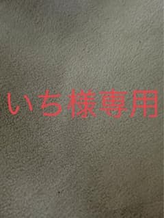 ☆新品☆ムーンスター 上履き 子供靴 キャロット CR ST13  14.0cmのサムネイル