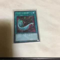 ハーピィの羽根帚のサムネイル