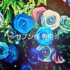☆セブン様専用☆のサムネイル