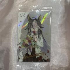 드림 저니 말 딸 트윈 웨이퍼 Special R 2025