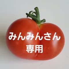 懐古トマト～赤い恋人～正品２kg箱‼️ミニトマト - 2