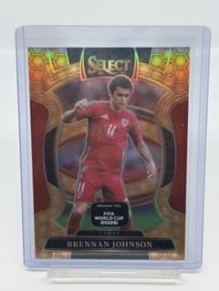 Panini honeycomb Brennan Johnson SSPのサムネイル